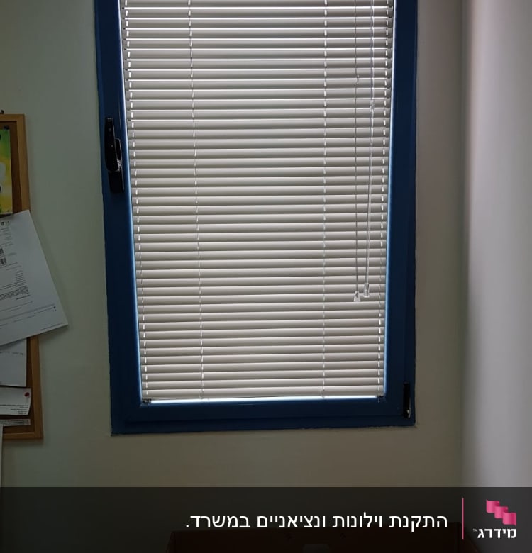 תריסים לבנים על חלון עם מסגרת כחולה